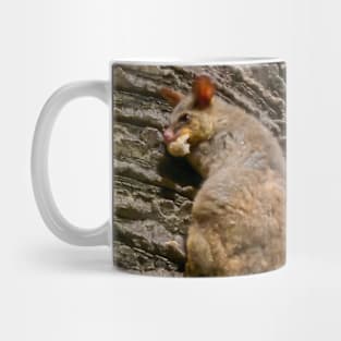 Brushtailed Possum in Hyde Park, Sydney, NSW, Australia Mug